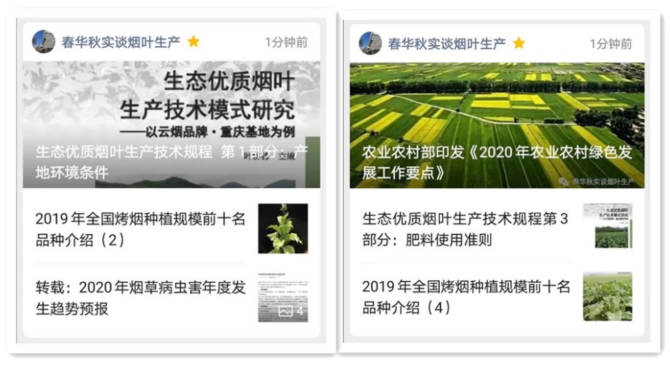澳门新葡京app