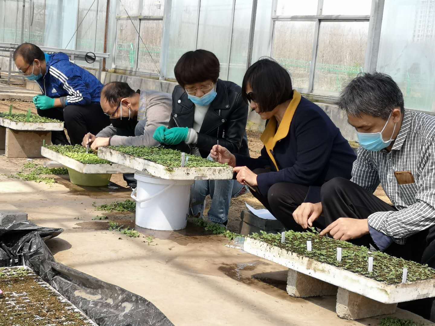 澳门新葡京app