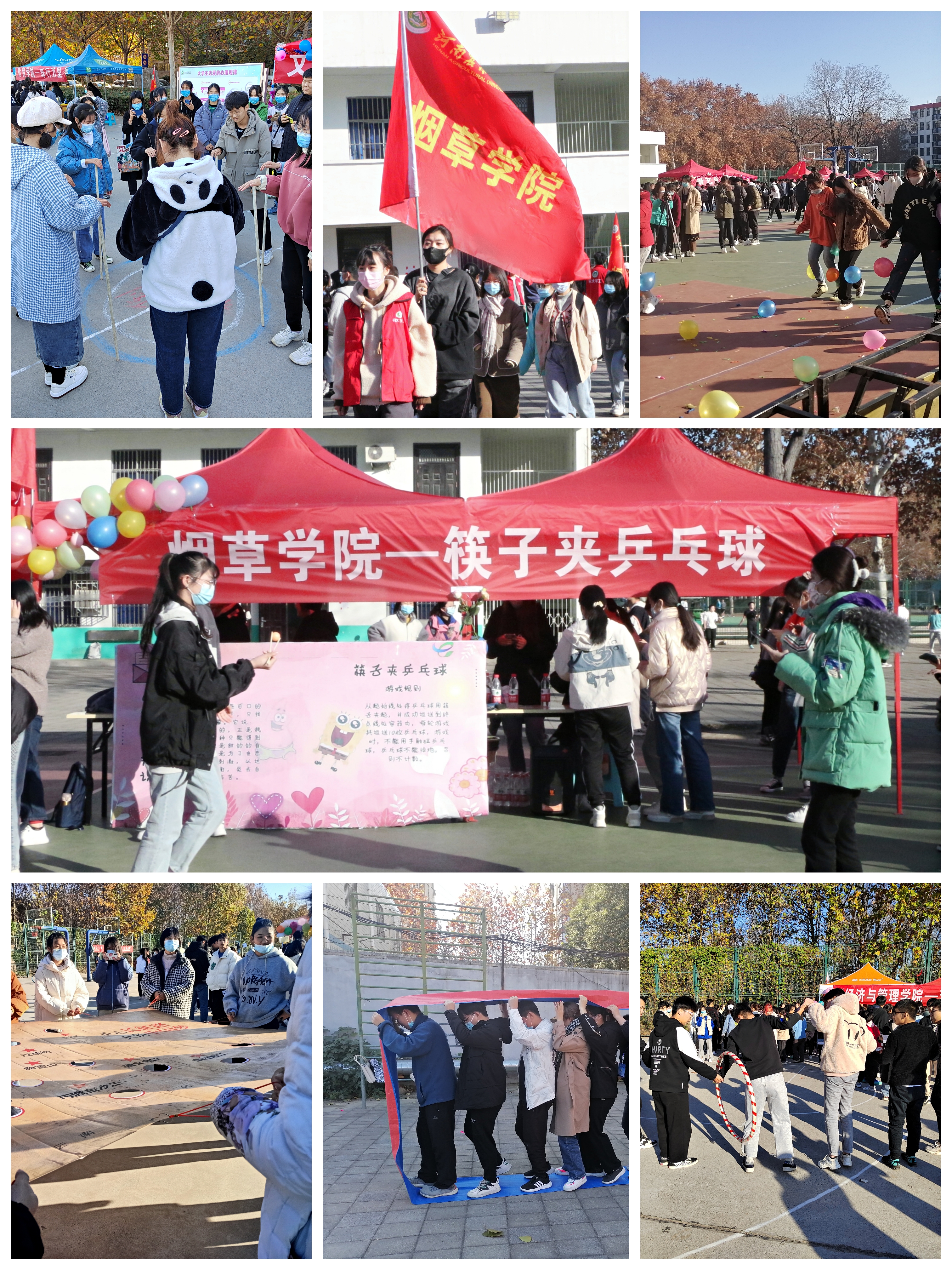 澳门新葡京app