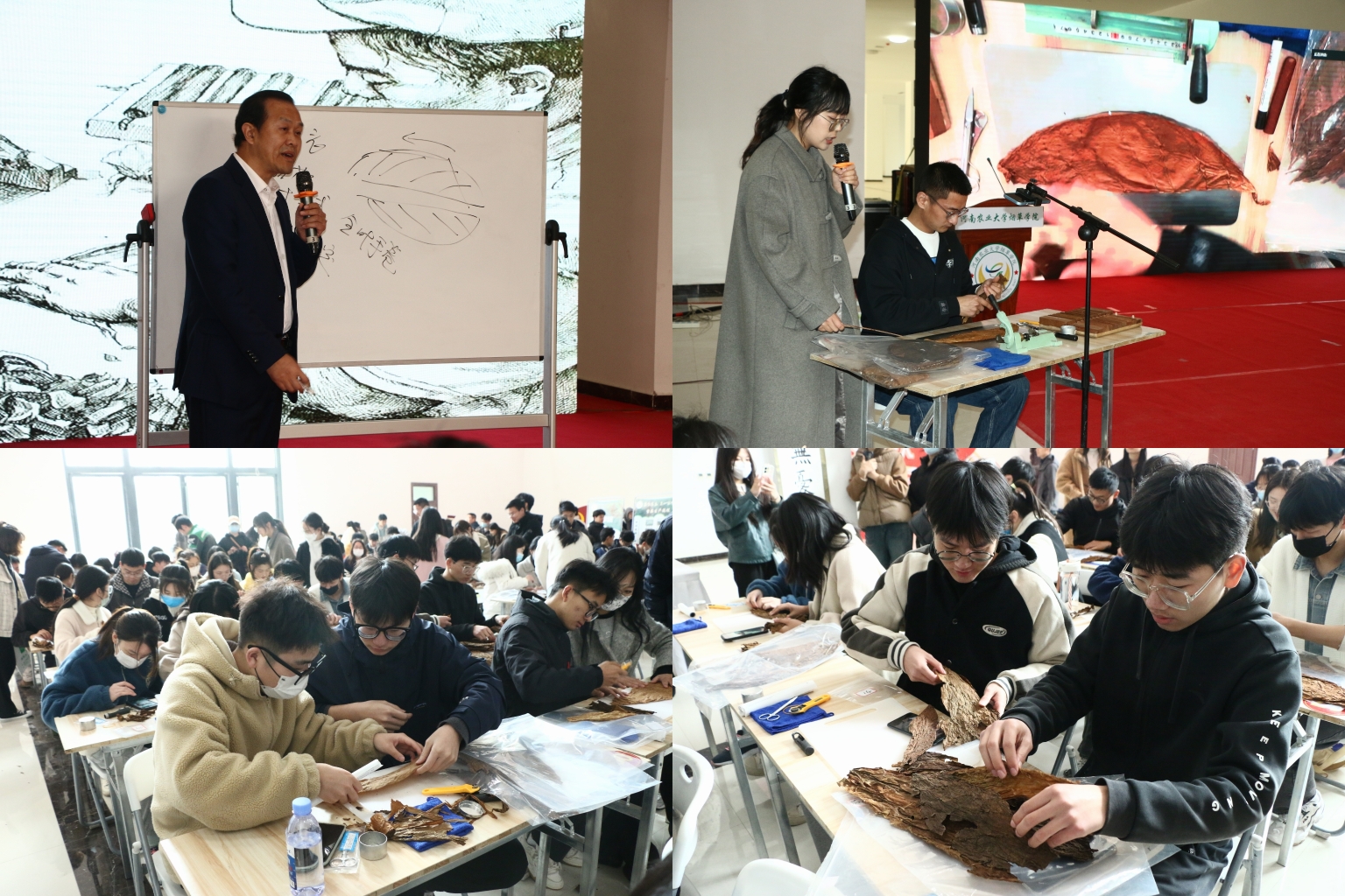 澳门新葡京app