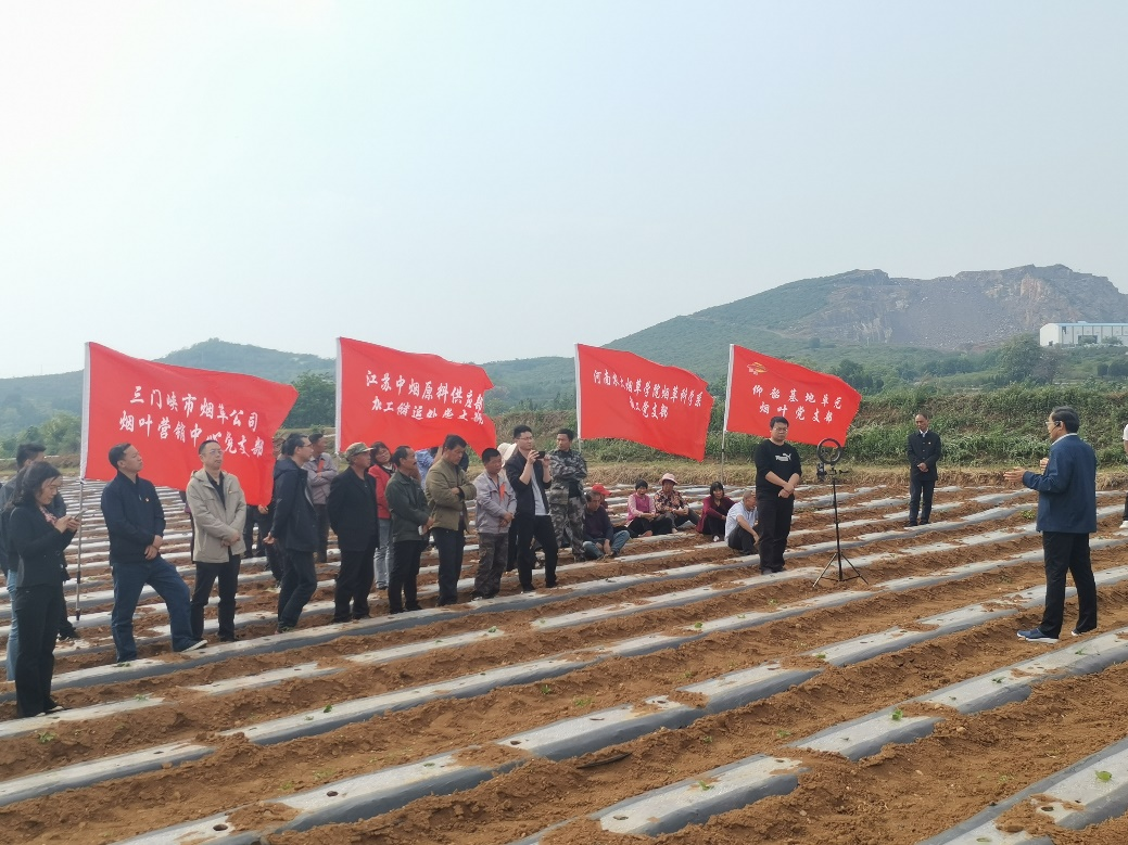 澳门新葡京app