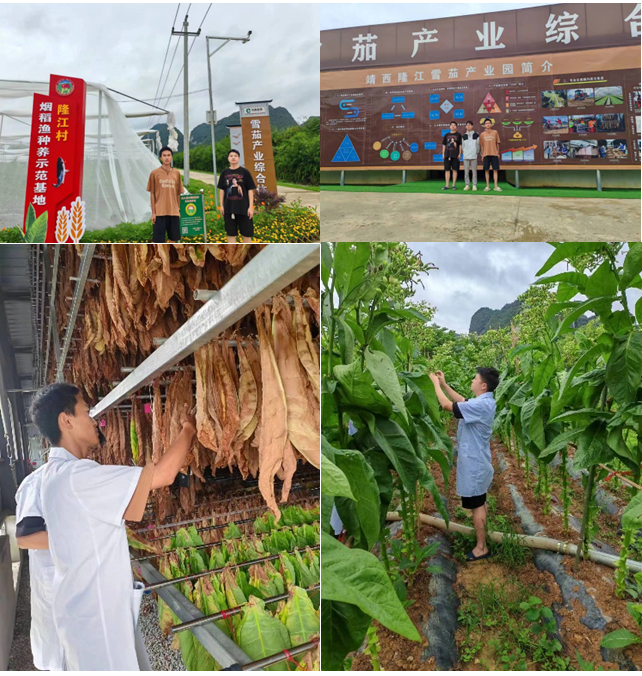 澳门新葡京app