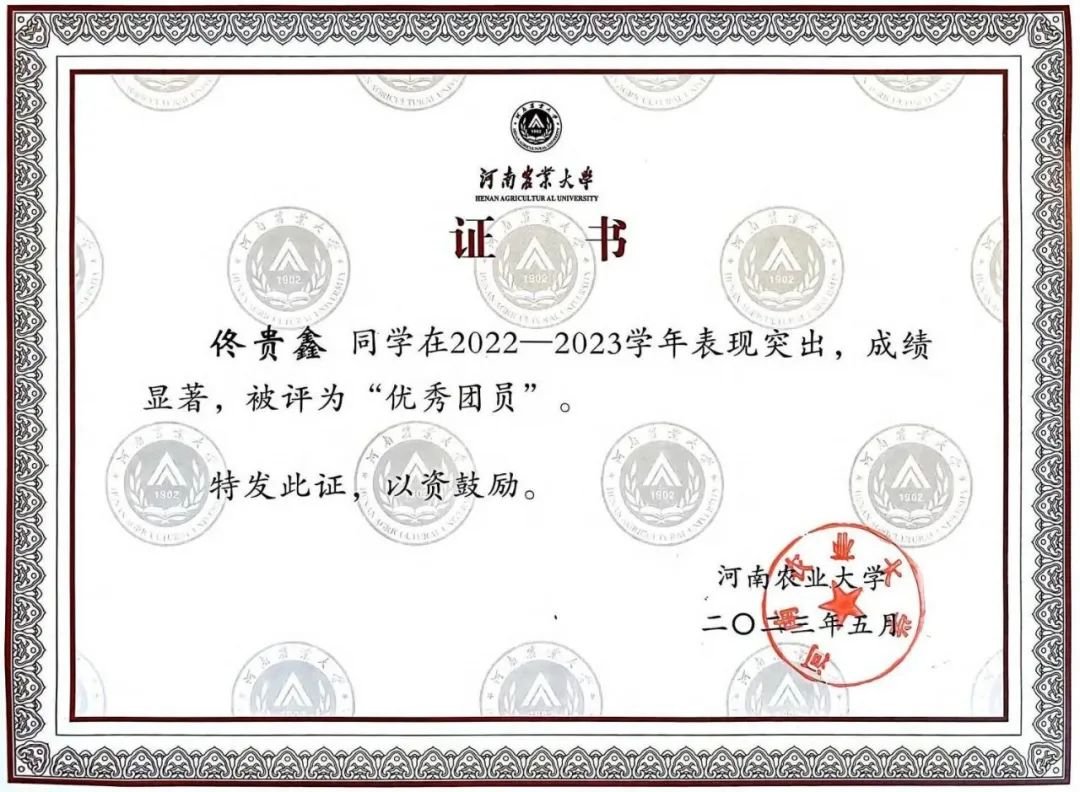 澳门新葡京app