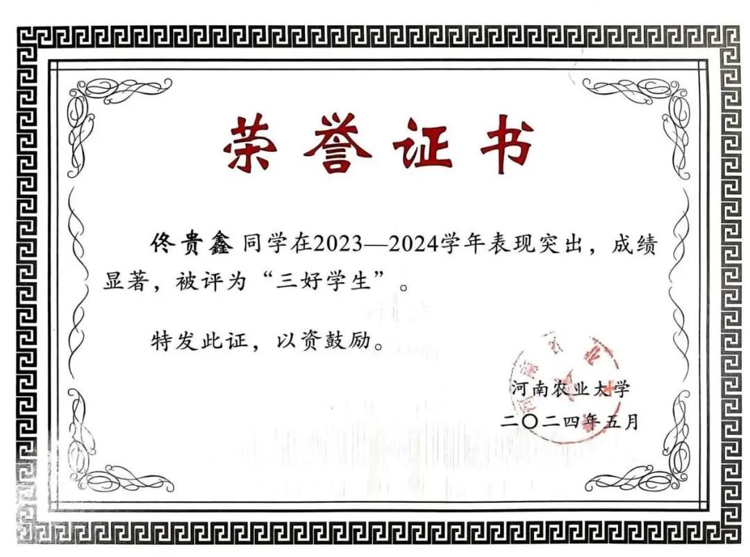 澳门新葡京app