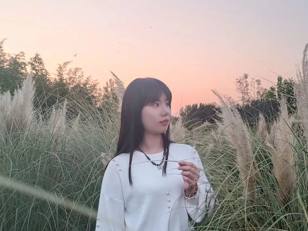 澳门新葡京app