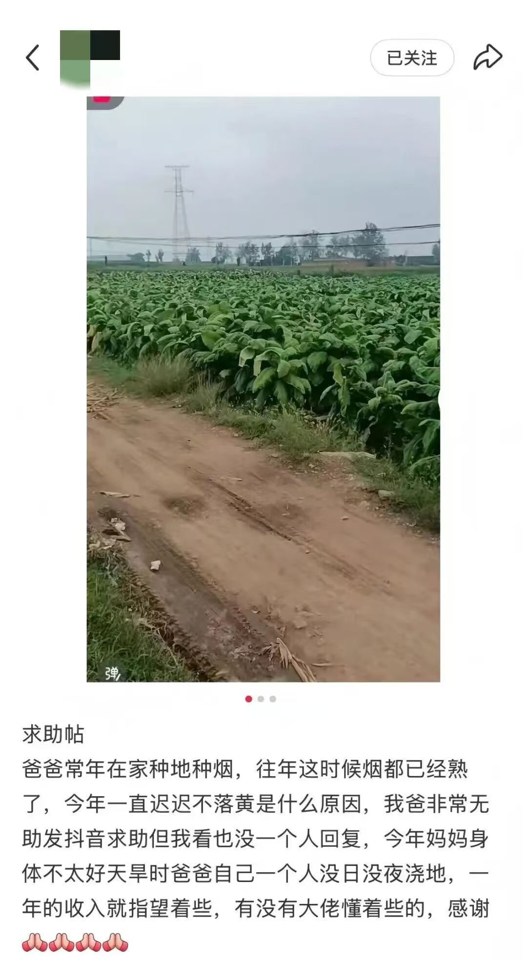 澳门新葡京app