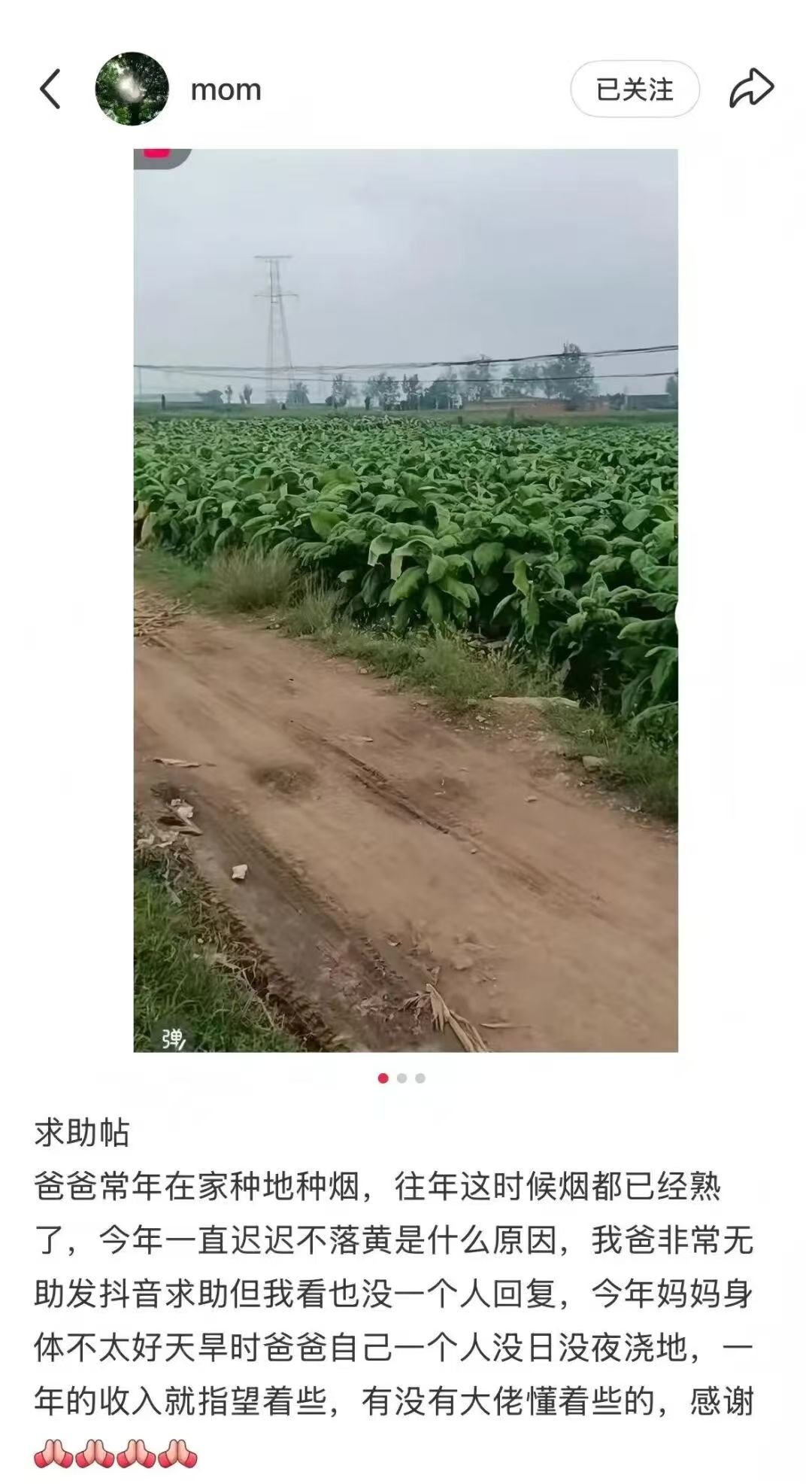 澳门新葡京app