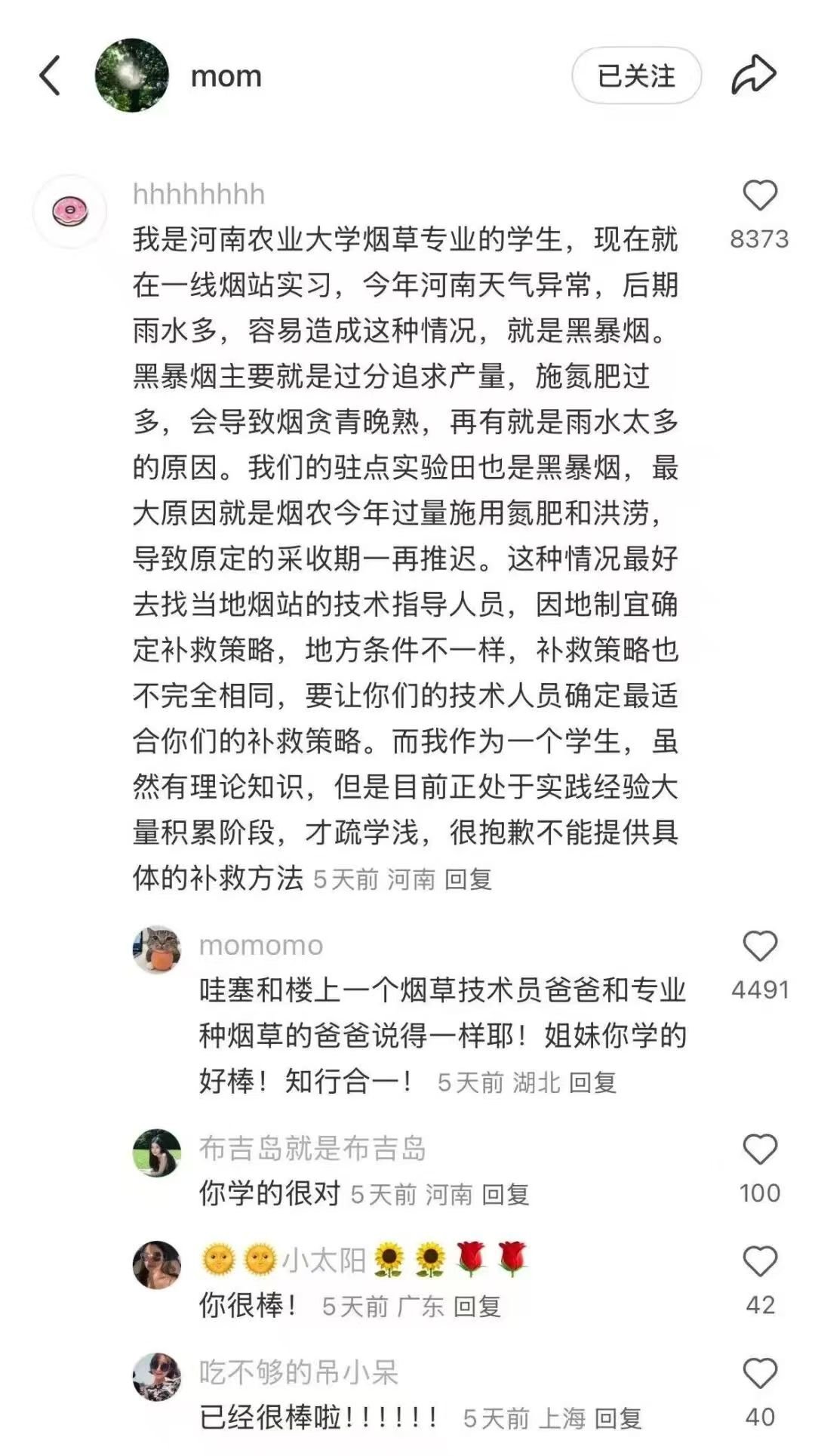 澳门新葡京app