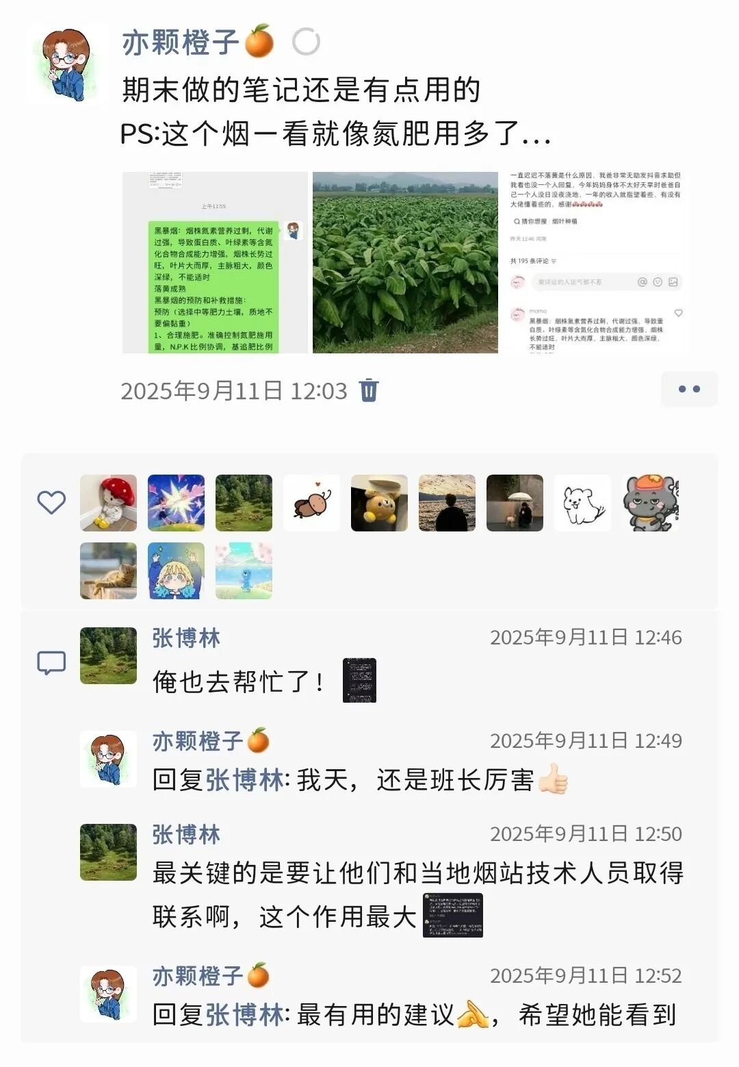 澳门新葡京app