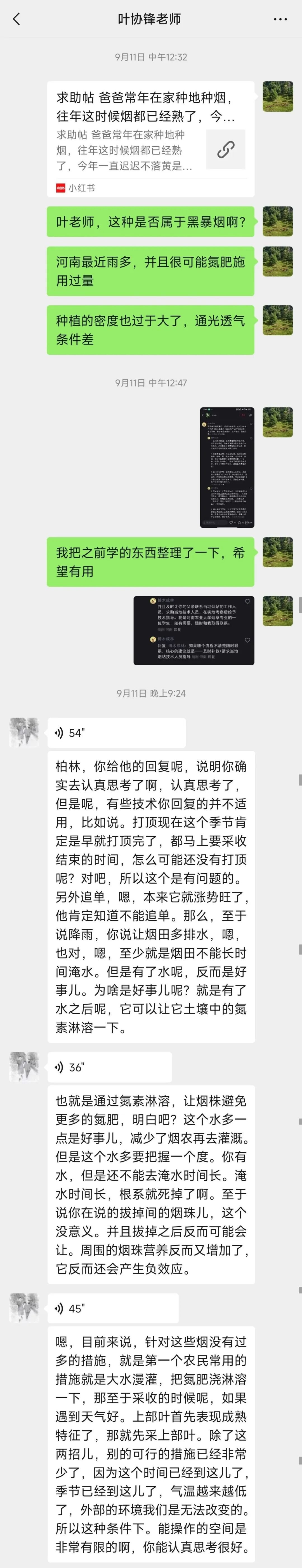 澳门新葡京app