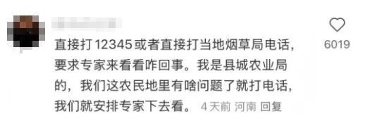 澳门新葡京app