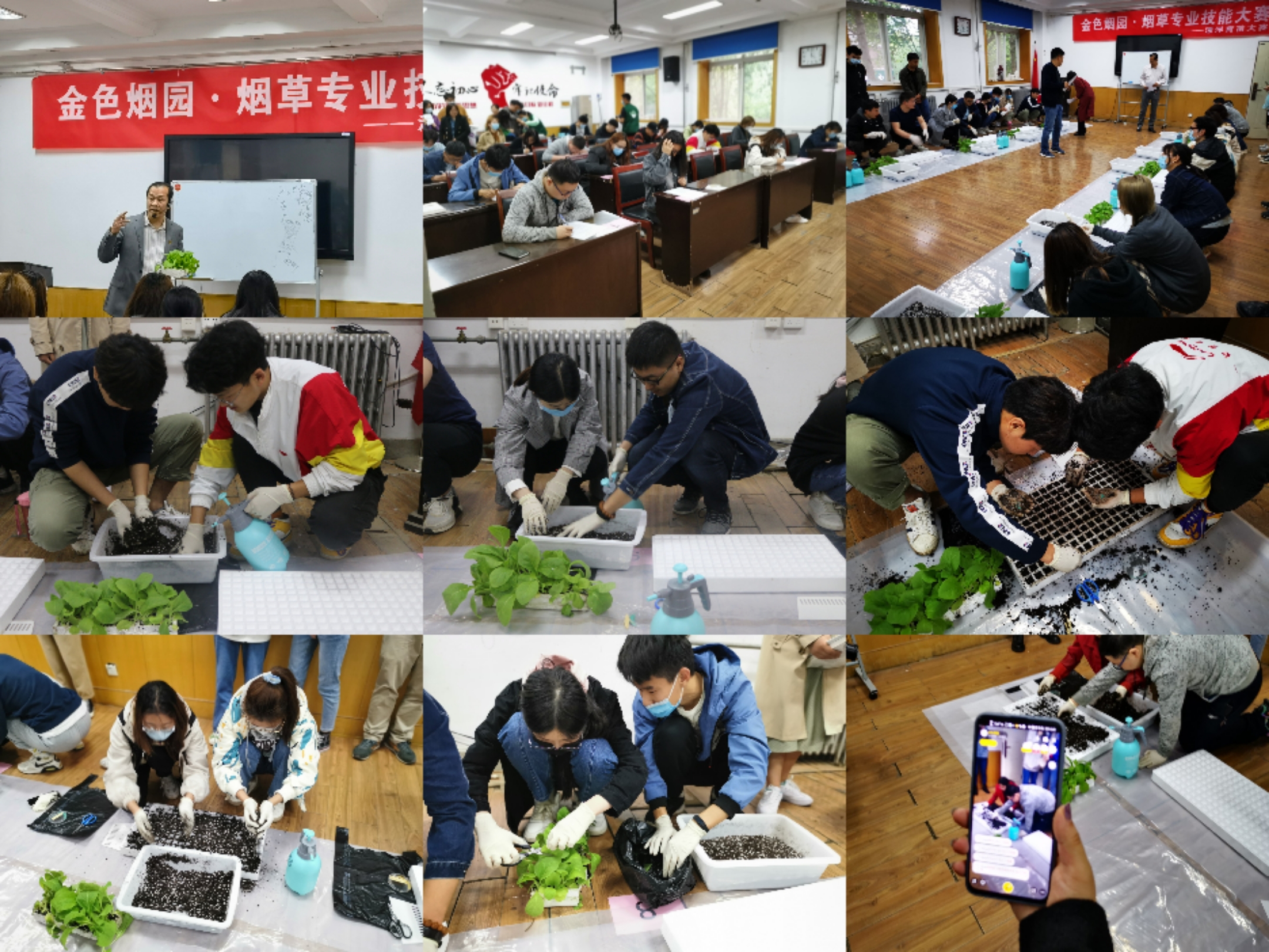 澳门新葡京app