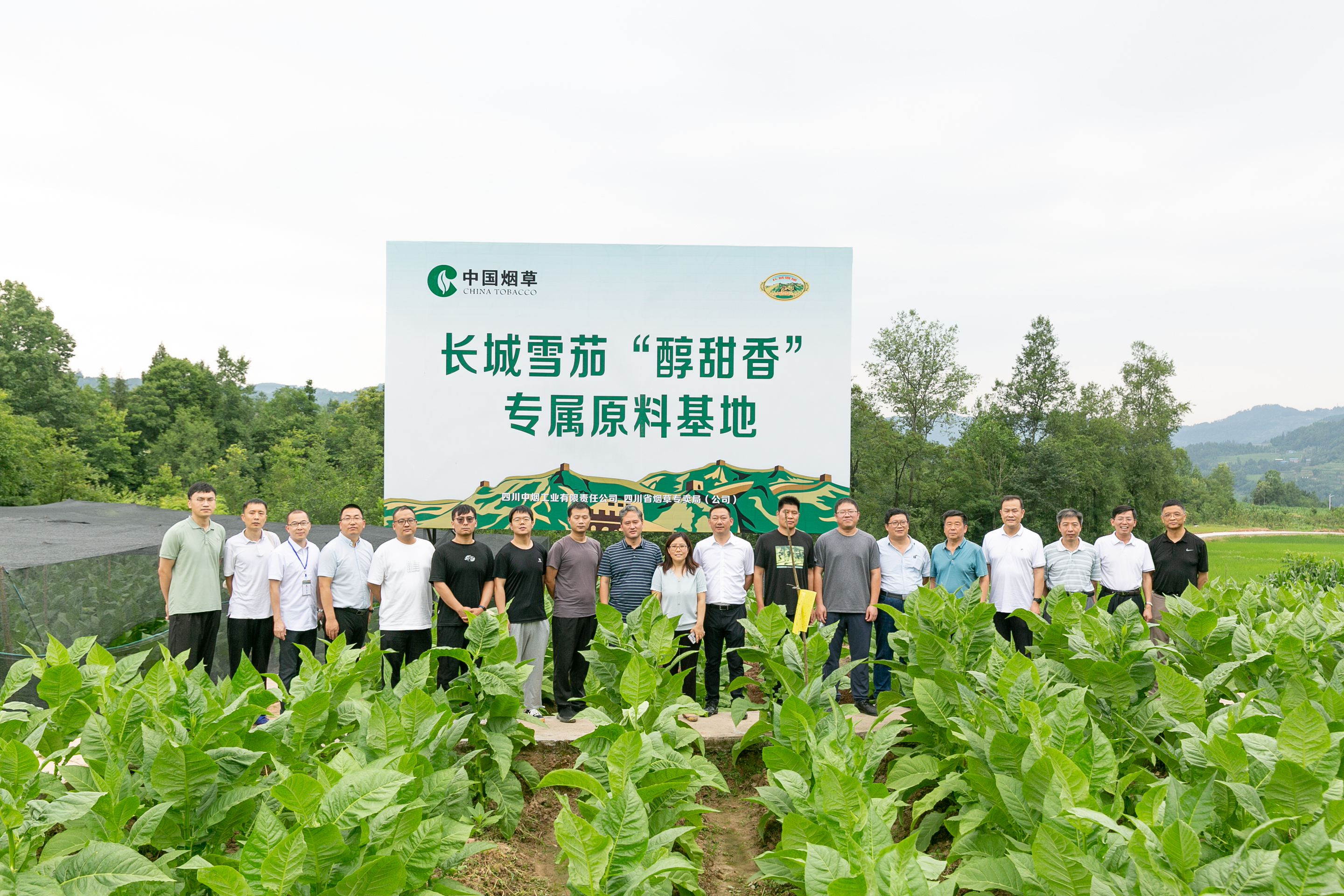 澳门新葡京app