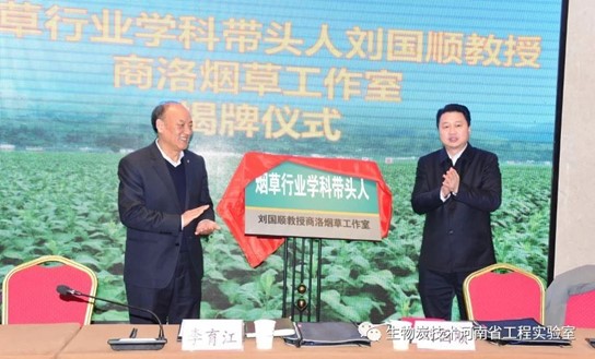 澳门新葡京app