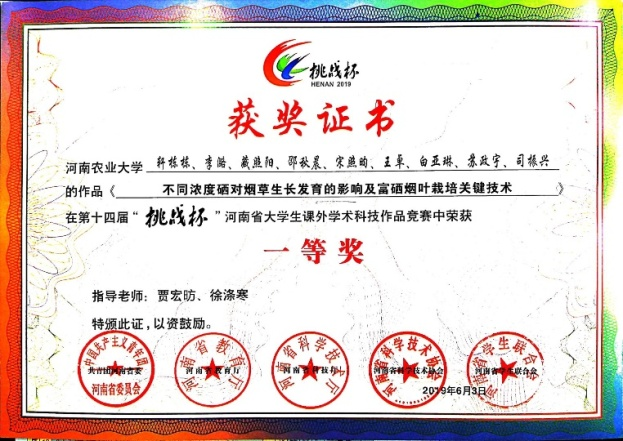 澳门新葡京app