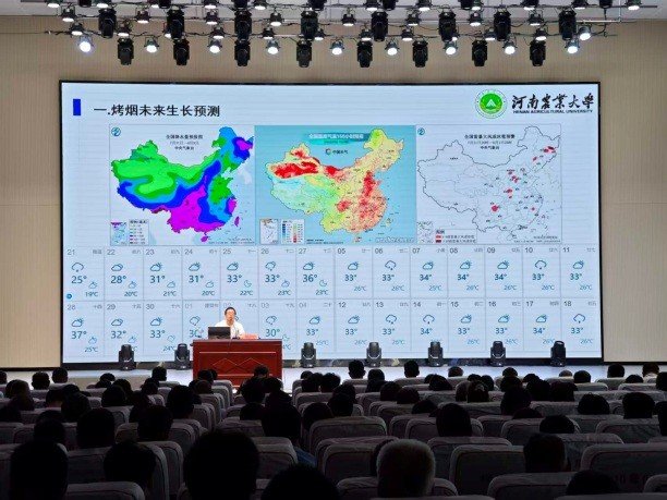 澳门新葡京app